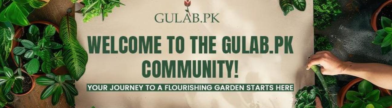 gulabpk