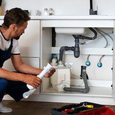 arborplumbing